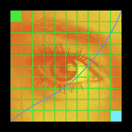 Precision Digital Negatives